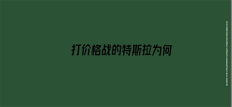 打价格战的特斯拉为何突然涨价